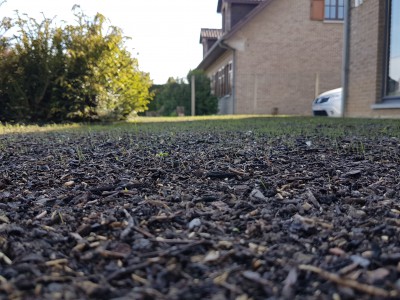 20170522_175010.jpg