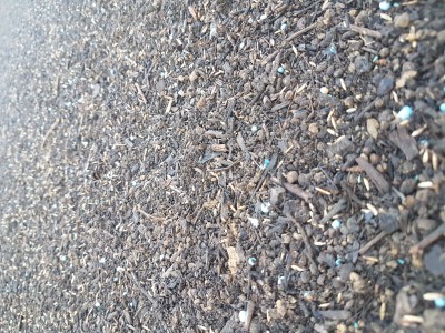 20170514_200540.jpg
