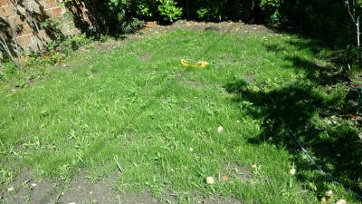 IMG_20170526_111735274.jpg
