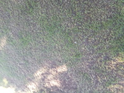 20170526_192807.jpg