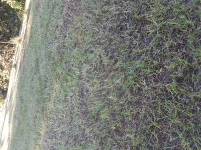 20170526_192800.jpg