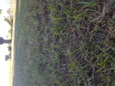 20170526_192755.jpg