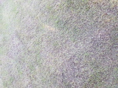 20170526_192749.jpg