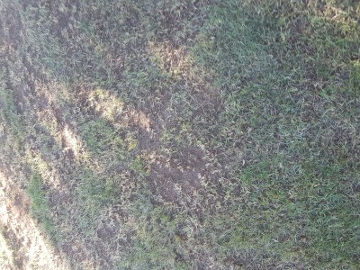 20170526_192742.jpg