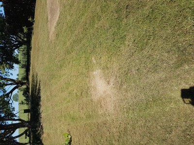 20170526_120042.jpg