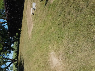 20170526_120043.jpg