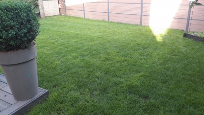 20170528_084907.jpg
