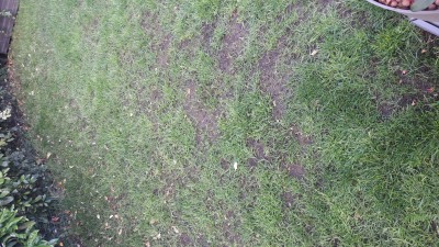 20170528_085104.jpg