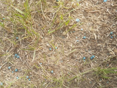 20170528_181249.jpg