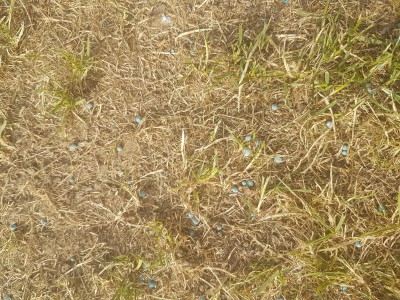 20170528_181231.jpg