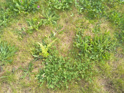 WP_20170529_18_16_34_Pro_LI.jpg