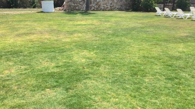 IMG_5418.JPG