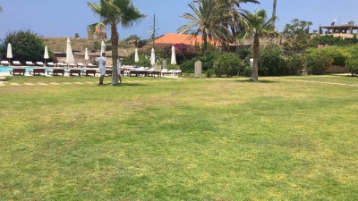 IMG_5420.JPG