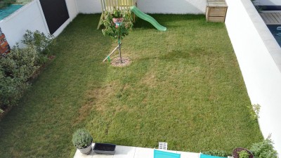 IMG_20170604_093055.jpg