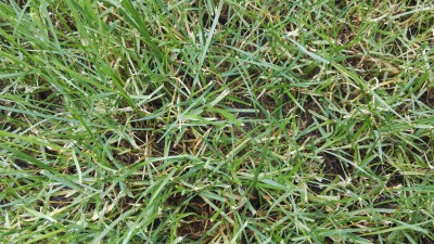 IMG_20170604_103522.jpg