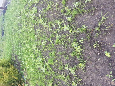 20170604_192033.jpg