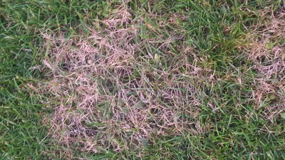 20170605_212114.jpg