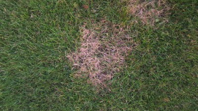 20170605_212125.jpg