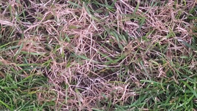 20170605_212132.jpg