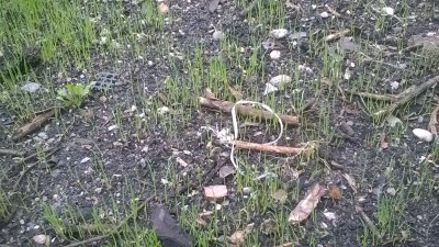 WP_20170606_002.jpg