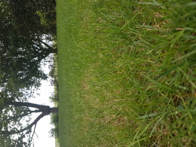 20170608_162947.jpg