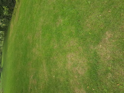 20170608_162941.jpg