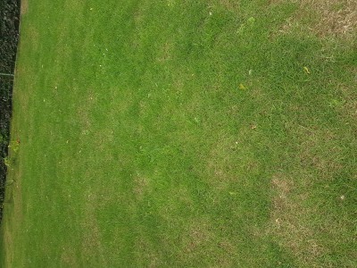 20170608_162936.jpg