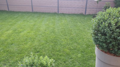 20170609_192057.jpg