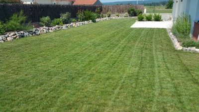 20170611_114121.jpg