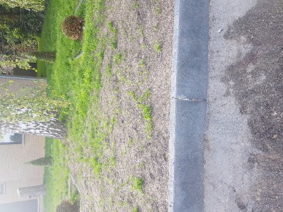 20170611_184617.jpg