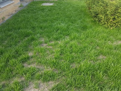 20170611_184454.jpg