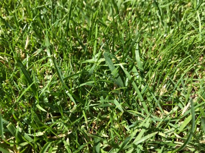 IMG_0630.JPG