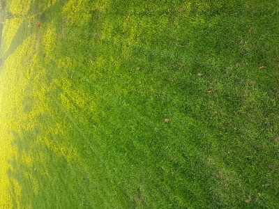 20170613_201823.jpg