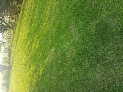 20170613_201723.jpg
