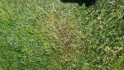 20170618_120943.jpg