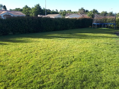20170618_081224.jpg