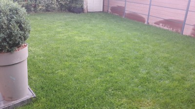 20170619_213737.jpg
