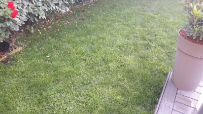 20170619_213714.jpg