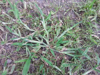 20170620_183413.jpg