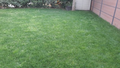 20170622_203803.jpg