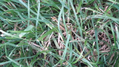 20170622_203755.jpg