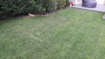 20170626_183615.jpg