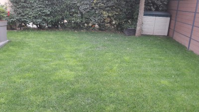 20170626_183605.jpg