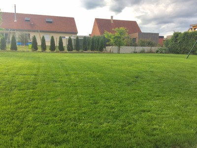 FullSizeRender.jpg