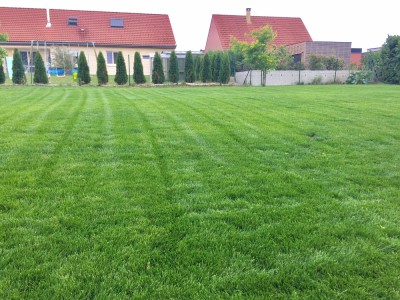 FullSizeRender(1).jpg
