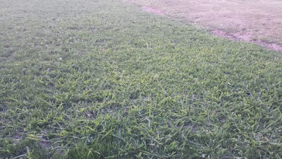20170704_214551.jpg