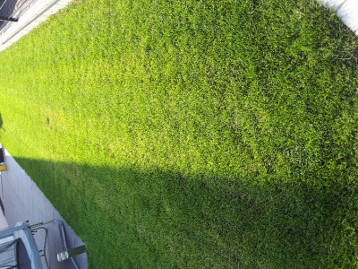 20170708_090121.jpg