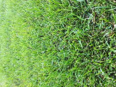 20170708_090135.jpg
