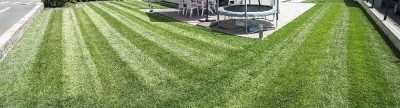 20170708_130330.jpg