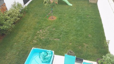 IMG_20170724_091616.jpg